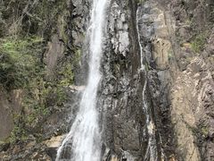 -姑婆山旅游区