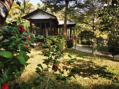 -深圳国际园林花卉博览园