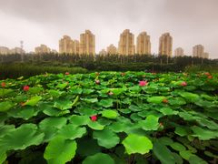 -前关湿地公园