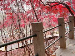 -崂山巨峰游览区