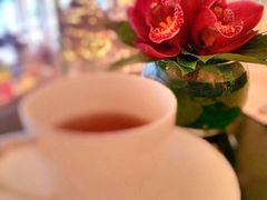 华尔道夫酒店廊吧-LONG BAR 廊吧(外滩华尔道夫酒店)