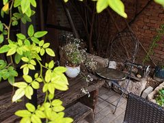 -出走咖啡·面包(宋庄店)