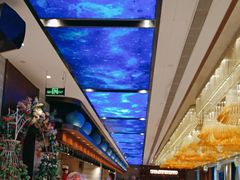 -皇马假日醉海南大酒店·假日一品派茶楼(秀英店)