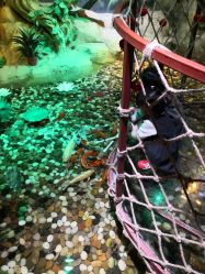 -酷嗒动物文化乐园(cutezoo西溪乐天城店)