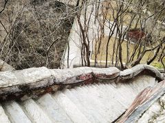 -北京上方山国家森林公园