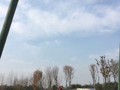 -府河摄影公园