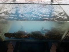 -原味蒸汽海鲜(嵊泗店)