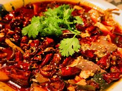 毛血旺-辛香汇(飞洲店)