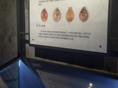 景点-贝壳梦幻世界