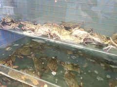 -金海湾海鲜总店