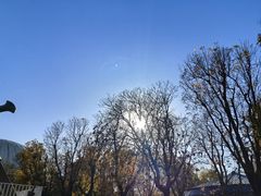 -朝阳公园游乐园