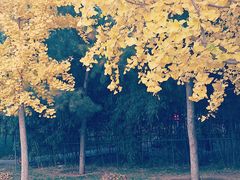 -长辛店二七公园