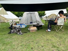 -武汉姚家山旅游景区