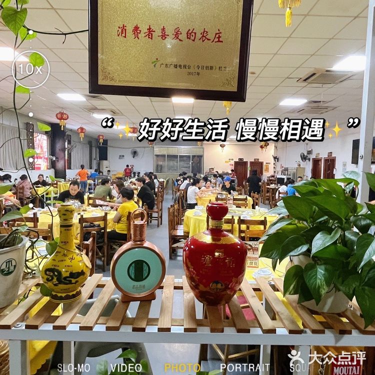 聚龙莊｜打卡佛山大众点评桑拿鸡排行榜第1️⃣名