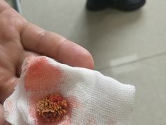 -瑞派福兴宠物医院犬猫全科·骨科·中西医结合(河东店)