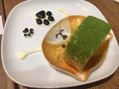 -柴务处·柴犬主题狗咖