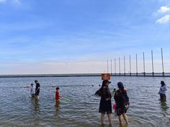 -碧海金沙