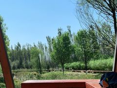 -东郊湿地公园