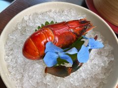 -随堂里
