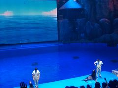 -芜湖新华联大白鲸海洋公园