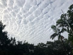 -平湖站
