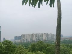 -聚龙山公园