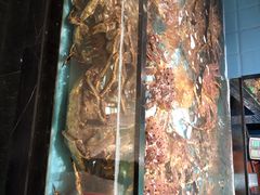 门面-尚海豆捞(乐虹坊店)