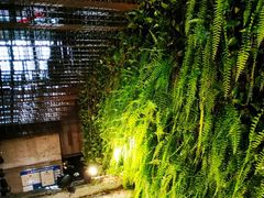 -外婆家(杭州马塍店·杭帮菜名店)