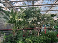 -南宫五洲植物乐园