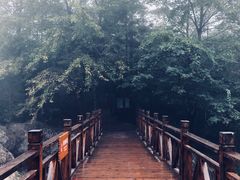 -青峰峡国家森林公园