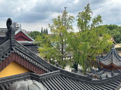 -上海东林寺(金山区)