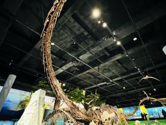 -国家自然博物馆