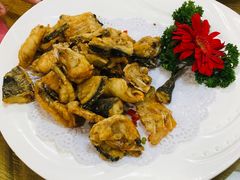 -寻味顺德·南记酒家·传统顺德菜·鱼生(广源路店)