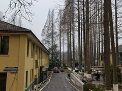-T80科技文化国际社区-停车场