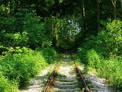 -合肥滨湖国家森林公园