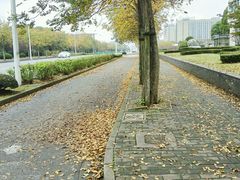 -上海如意智慧酒店(上海科学院店)