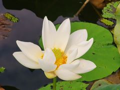 -梁鸿国家湿地公园