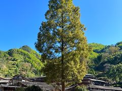 -林坑古村落