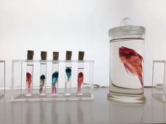 -大连圣亚海洋世界