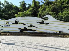 -西双版纳原始森林公园