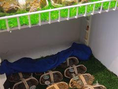 -猪腰一家·地道佛山菜(里水店)