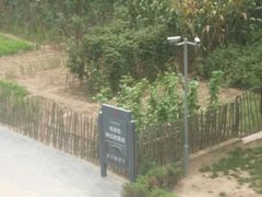 -延安杨家岭革命旧址