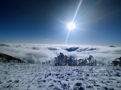 -秦岭风景区