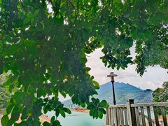 -广州市流溪河国家森林公园