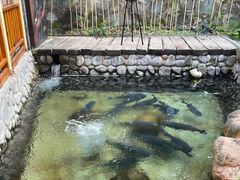 -耕渔小院·湖南鱼鲜(望城店)