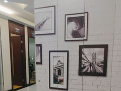 -泰康拜博口腔(世博园乐尔店)