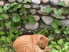 -长辛店二七公园