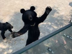 -西安秦岭野生动物园