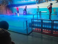 -乌鲁木齐海洋馆