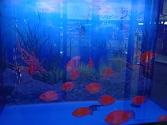 -德庄火锅(巢湖万达店)